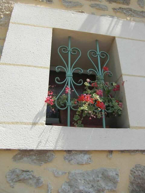 Blumen hinter Gittern - Südfrankreich, Sommer 2009