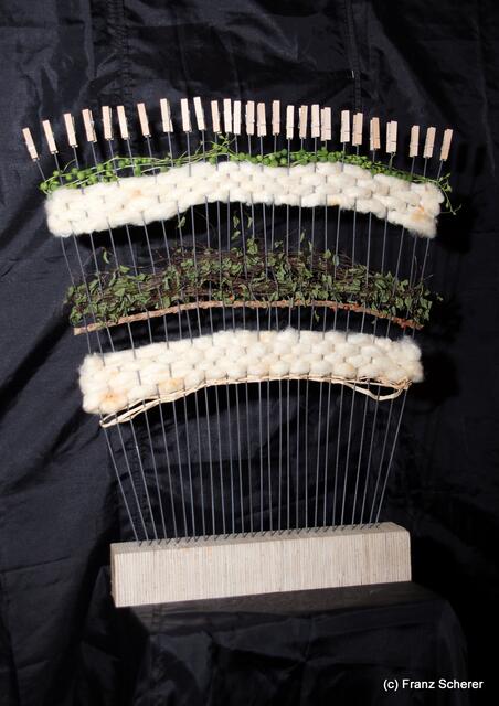 Valentinstag - Tag der Blumen und kleinen Aufmerksamkeiten. Die Auszubildende Verena Fehrer zeigt mit ihrem "floralen Fächer" viel künstlerisches Talent für das Floristen-Handwerk