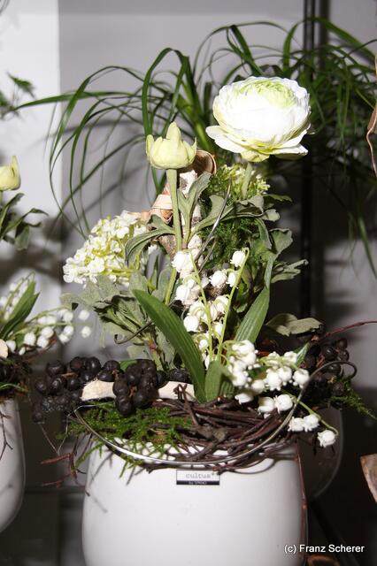 Valentinstag - Tag der Blumen, der kleinen Aufmerksamkeiten und des floralen Ausblicks auf den Beginn der Frühlingsnatur