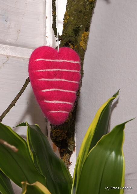 Valentinstag - Tag der Blumen, der kleinen Aufmerksamkeiten und des floralen Ausblicks auf den Beginn der Frühlingsnatur