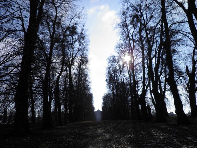 Gegenlicht am Mittag