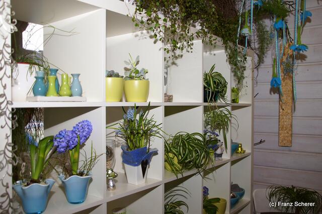 Valentinstag - Tag der Blumen, der kleinen Aufmerksamkeiten und des floralen Ausblicks auf den Beginn der Frühlingsnatur