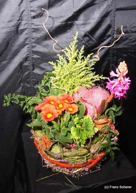 Valentinstag - Tag der Blumen, der kleinen Aufmerksamkeiten und des floralen Ausblicks auf den Beginn der Frühlingsnatur