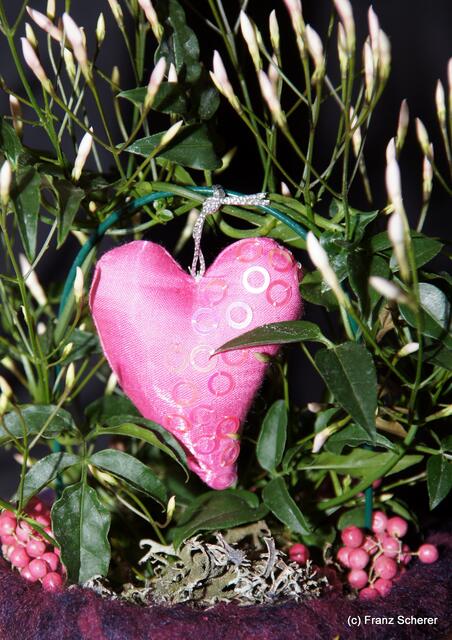 Valentinstag - Tag der Blumen, der kleinen Aufmerksamkeiten und des floralen Ausblicks auf den Beginn der Frühlingsnatur