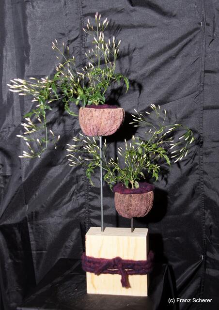 Valentinstag - Tag der Blumen, der kleinen Aufmerksamkeiten und des floralen Ausblicks auf den Beginn der Frühlingsnatur