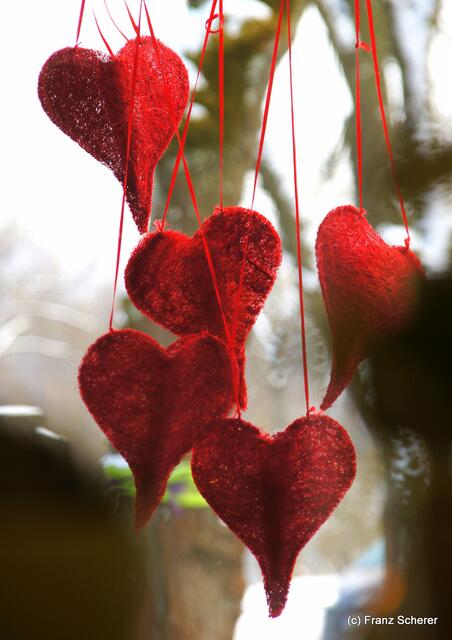 Valentinstag - Tag der Blumen, der kleinen Aufmerksamkeiten und des floralen Ausblicks auf den Beginn der Frühlingsnatur