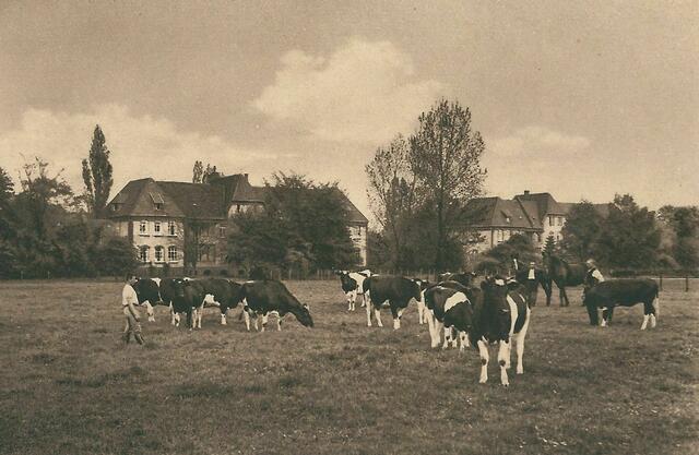 Selbstversorgung wurde in der Anstalt groß geschrieben, um 1930