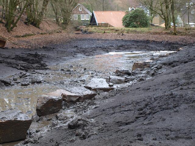 Teich entschlammen am Steffenshammer. Remscheid Remscheid