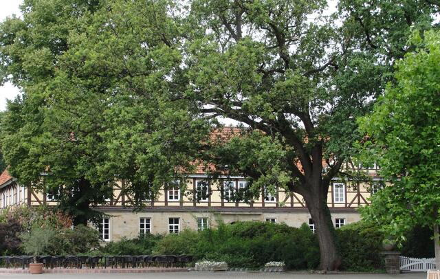 Großgoltern