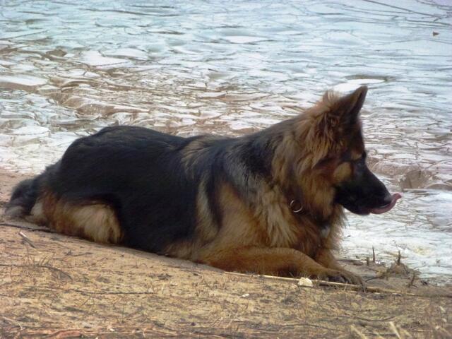 "Ich bin durstig! Wo ist das Wasser?!"