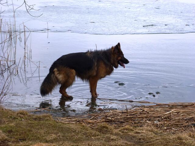 Grace liebt Wasser!