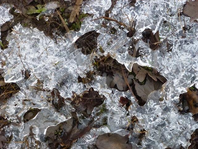 Zeichen vom Herbst und Winter - wo bleibt der Frühling ;-)?