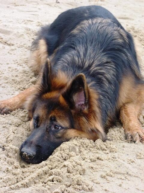 Pause am Sandstrand