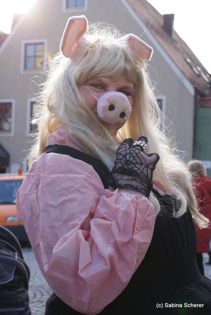 Friedberger Faschingsdienstag 2012