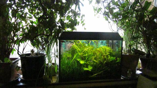 70l Becken