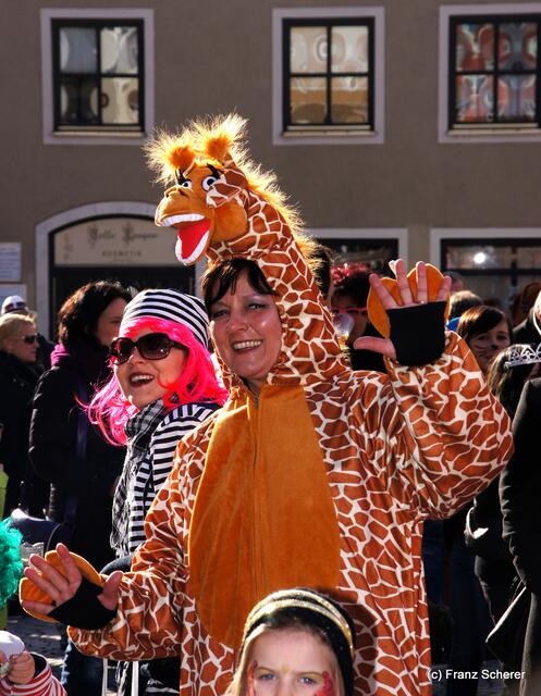 Friedberger Faschingsdienstag 2012