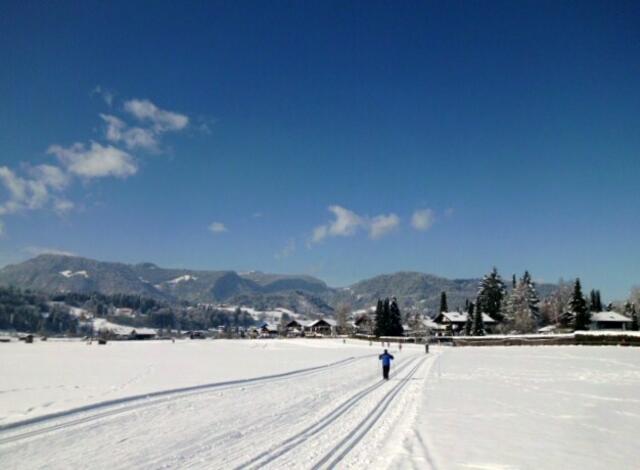 Die Loipe auf den Süd-Wies´n in nördliche Richtung auf den "Fuggerhof" zu.