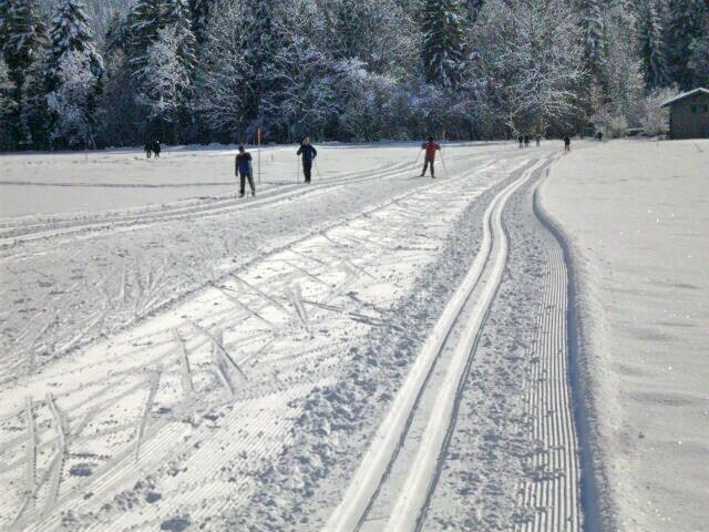 Gepflegte Loipen mit Skatingbahn
