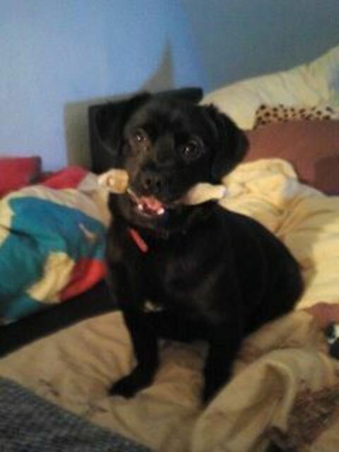 Minou die meine kleine Prinzessin