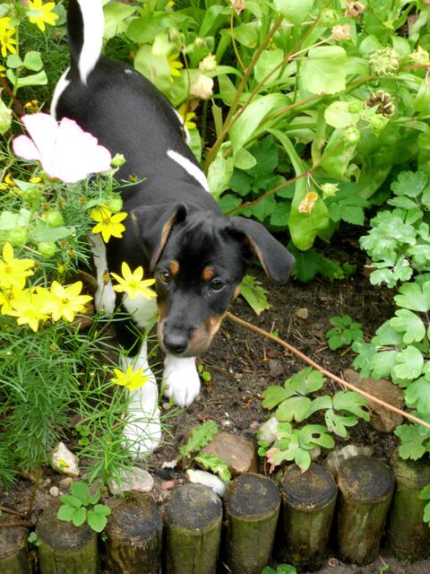 Bei Oma im Garten fühle ich mich auch wohl