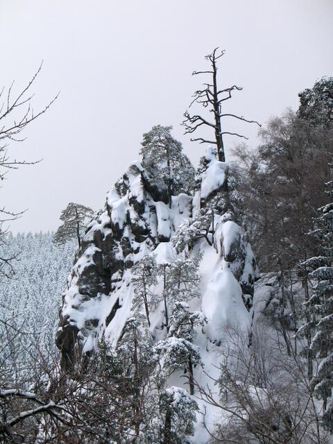 Das Okertal ist ein Kletter-Eldorado - jedenfalls für norddeutsche Verhältnisse. Hier die 50 Meter hohe Marienwand.
