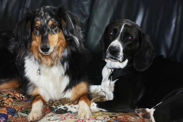 Dicke Freundinnen: Ida und Lilly