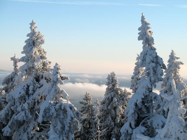 Und beim nächsten Mal machen wir eine Skitour auf den Brocken.