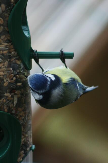turne herum...