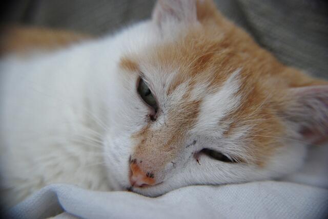 Nochmal Felix :)