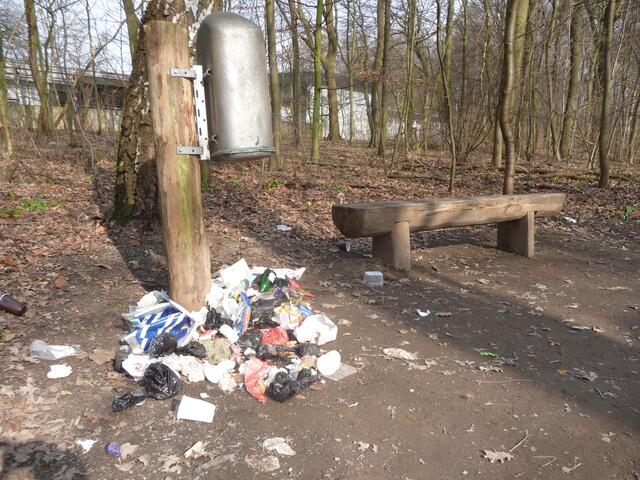 Schandfleck im Marienwerder -Wald