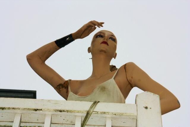 Wann kommt endlich dieser .......!