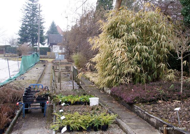 Garten ist Liebe und Arbeit - und viel Freude! - Das Gartenjahr 2012 hat schon begonnen ...