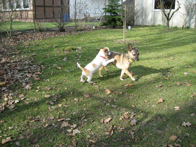 Crazy und Fritz: Mach mich nicht von der Seite an, Jungspunt!