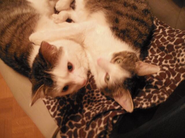 Wir haben uns soooo lieb