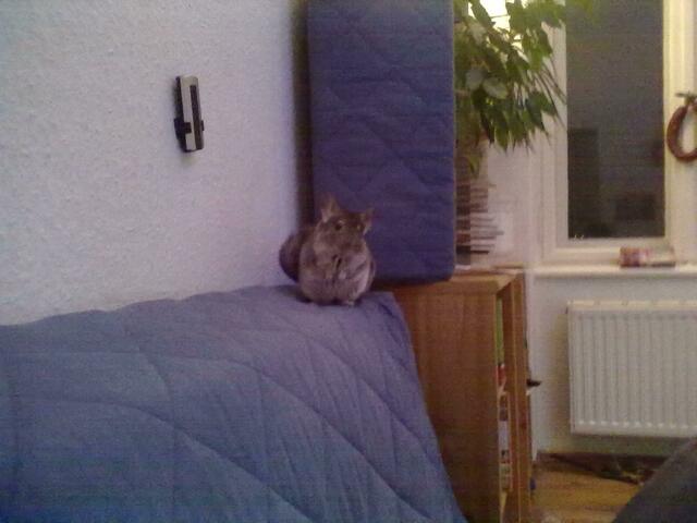 was willst du jetzt