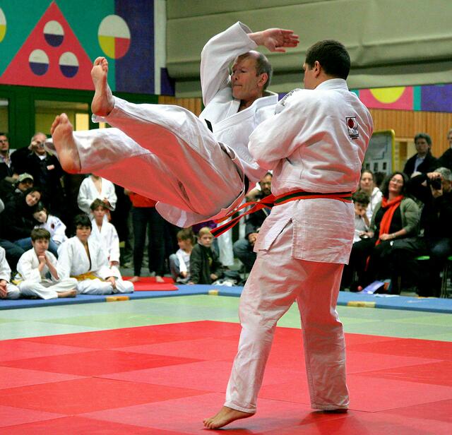 Judofallschule am Partner