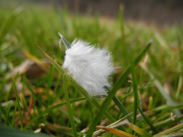 Verloren