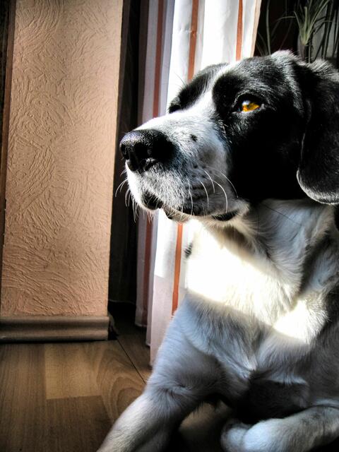 Unser Herz Jimmy !