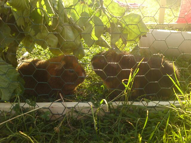 Wir lieben Sonne