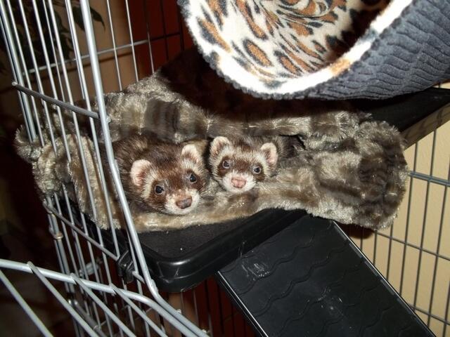 Emily und Tinka nachm aufstehn