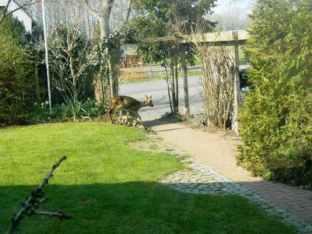 Das ist doch kein Ruheplatz für mich