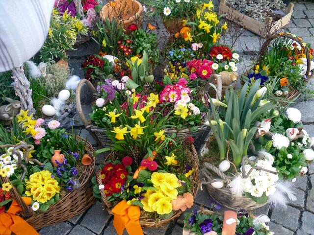 Wunderschön sind die Körbe mit Blumen. Habe mir schon überlegt, ob ich meinem Mann einen Korb gebe;-))