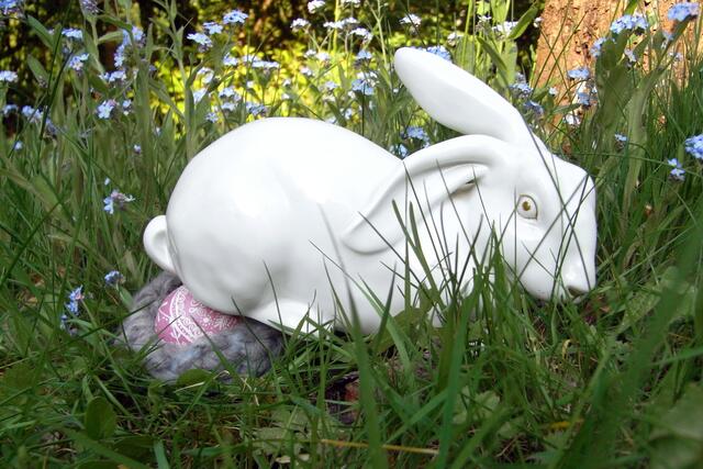 Osterhase-Subunternehmer bei der Arbeit | Foto: KDH / SDS Marburg