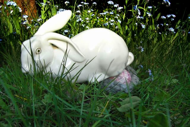 Osterhase-Subunternehmer bei der Arbeit | Foto: KDH / SDS Marburg