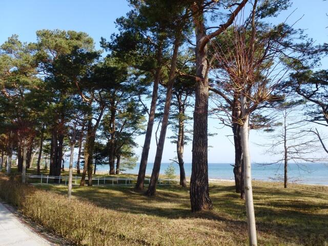 Spaziergang Strandpromenade Binz