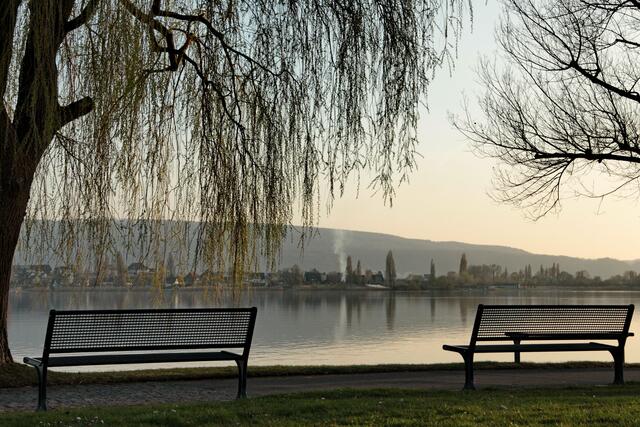 Blick zur Reichenau