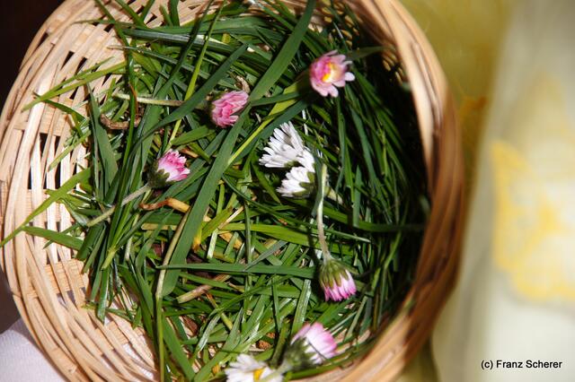 Weckt Erinnerungen und macht Freude auf den Frühling: Der Osterstrauß erstem grünen Gras und frisch geschlüpften Gänseblümchen aus dem Garten