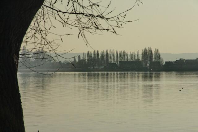 Blick zur Reichenau