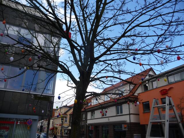 Ohne Leiter hätte es nicht geklappt