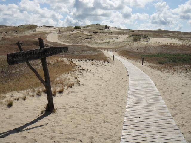 Imposante Eindrücke bot die Kurische Nehrung in Litauen. Foto: Hurcks